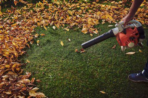 Winter Garden Clean Up